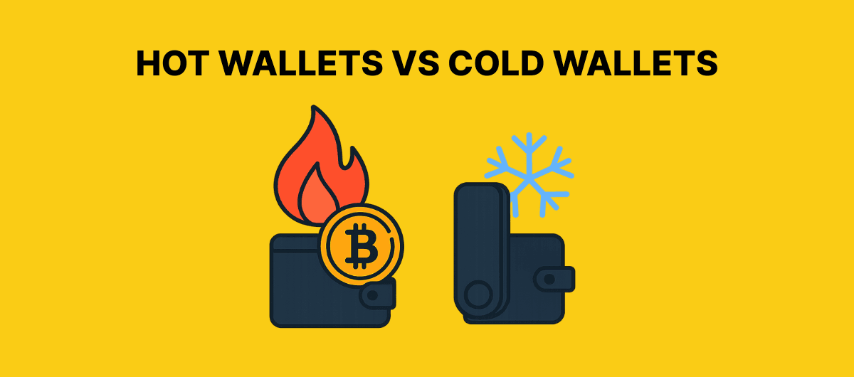 Hot Wallets vs Cold Wallets: Which to Use? (2025 Guide)